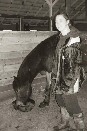 The Cart Before The Horse