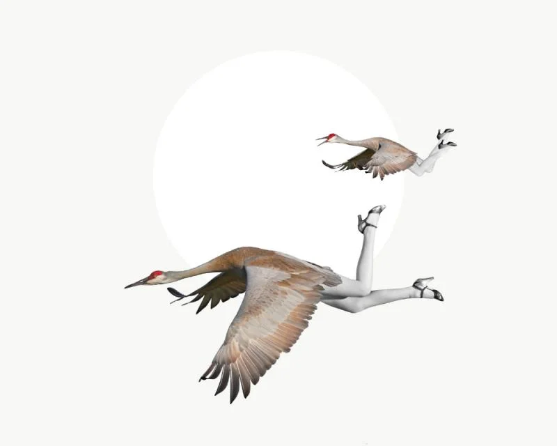 100 resolutions that won't make you feel bad about yourself 