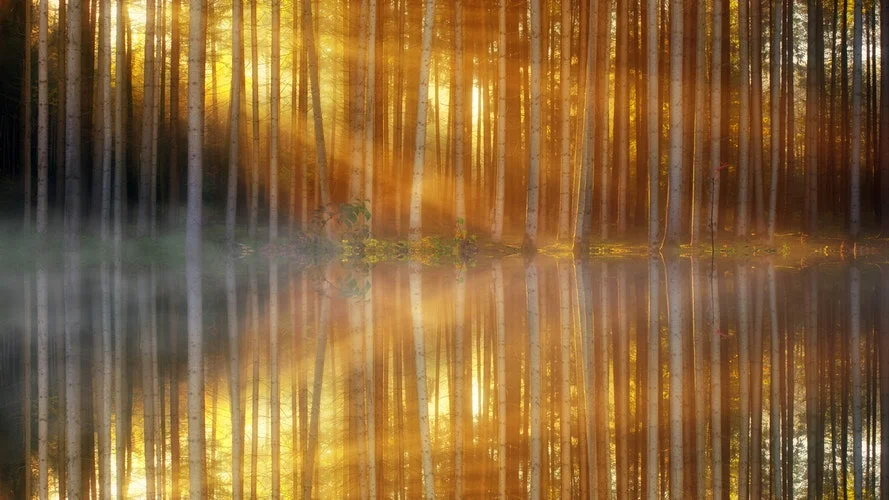Reflections