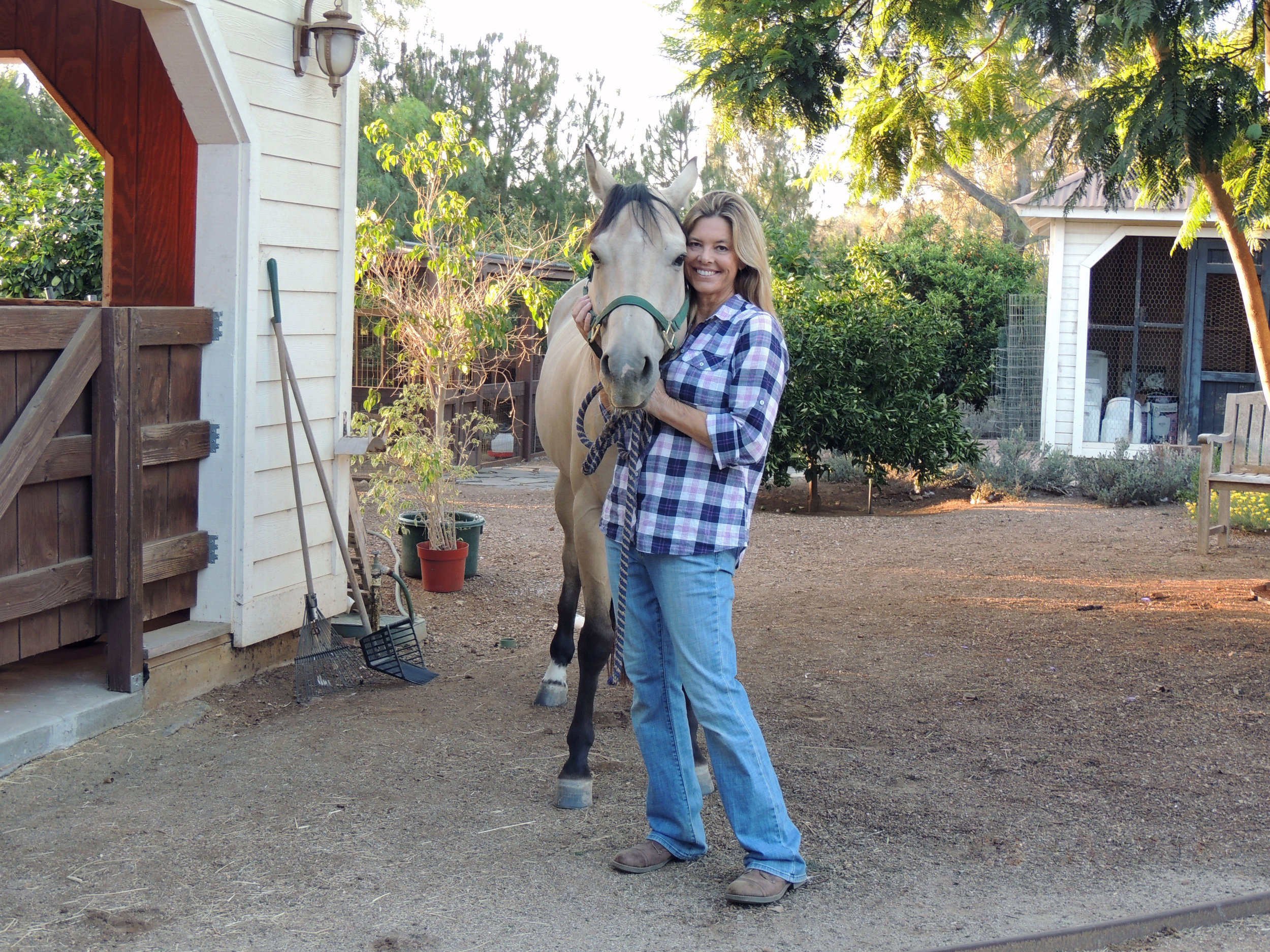 Best horse trainer in San Diego