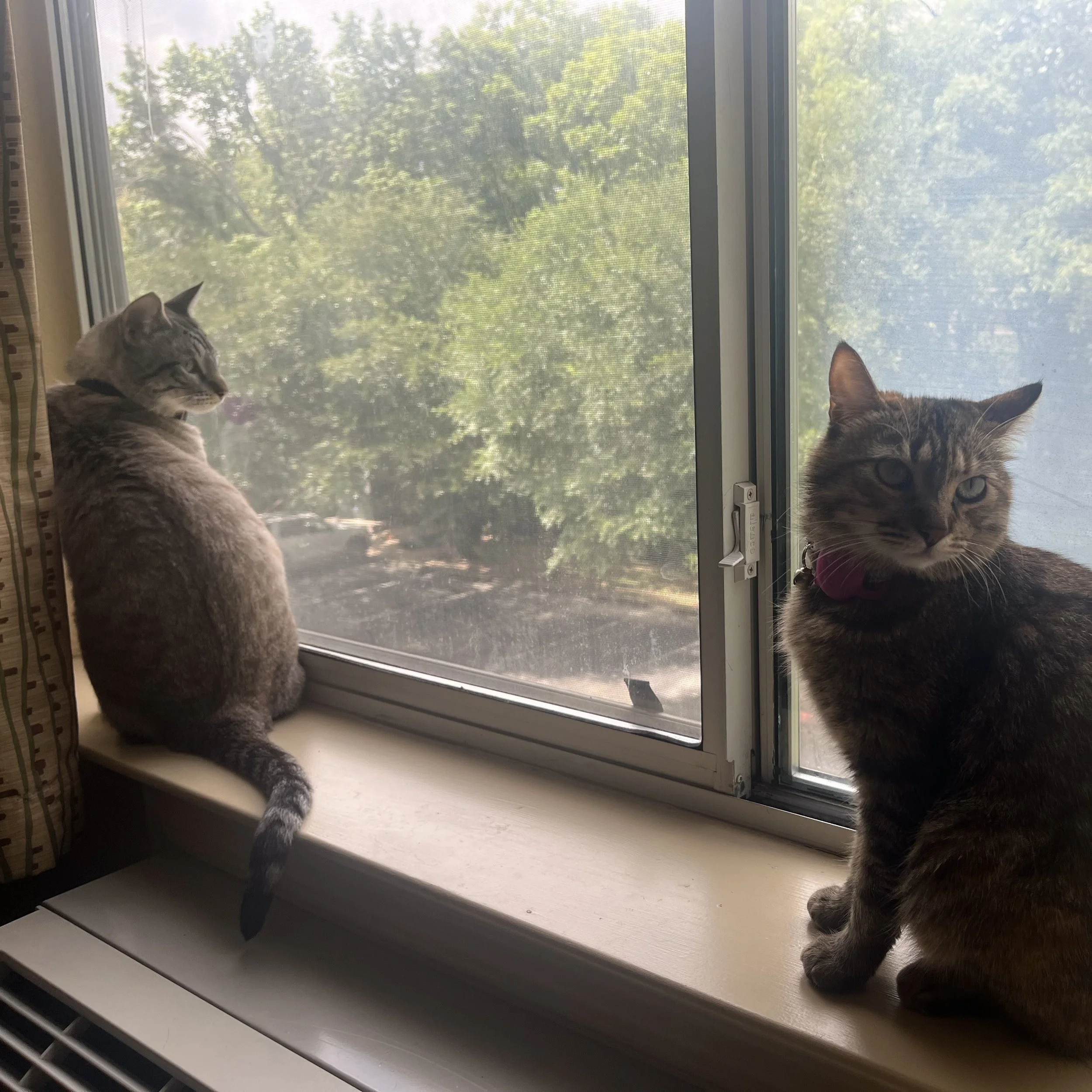 Kume and Emmy