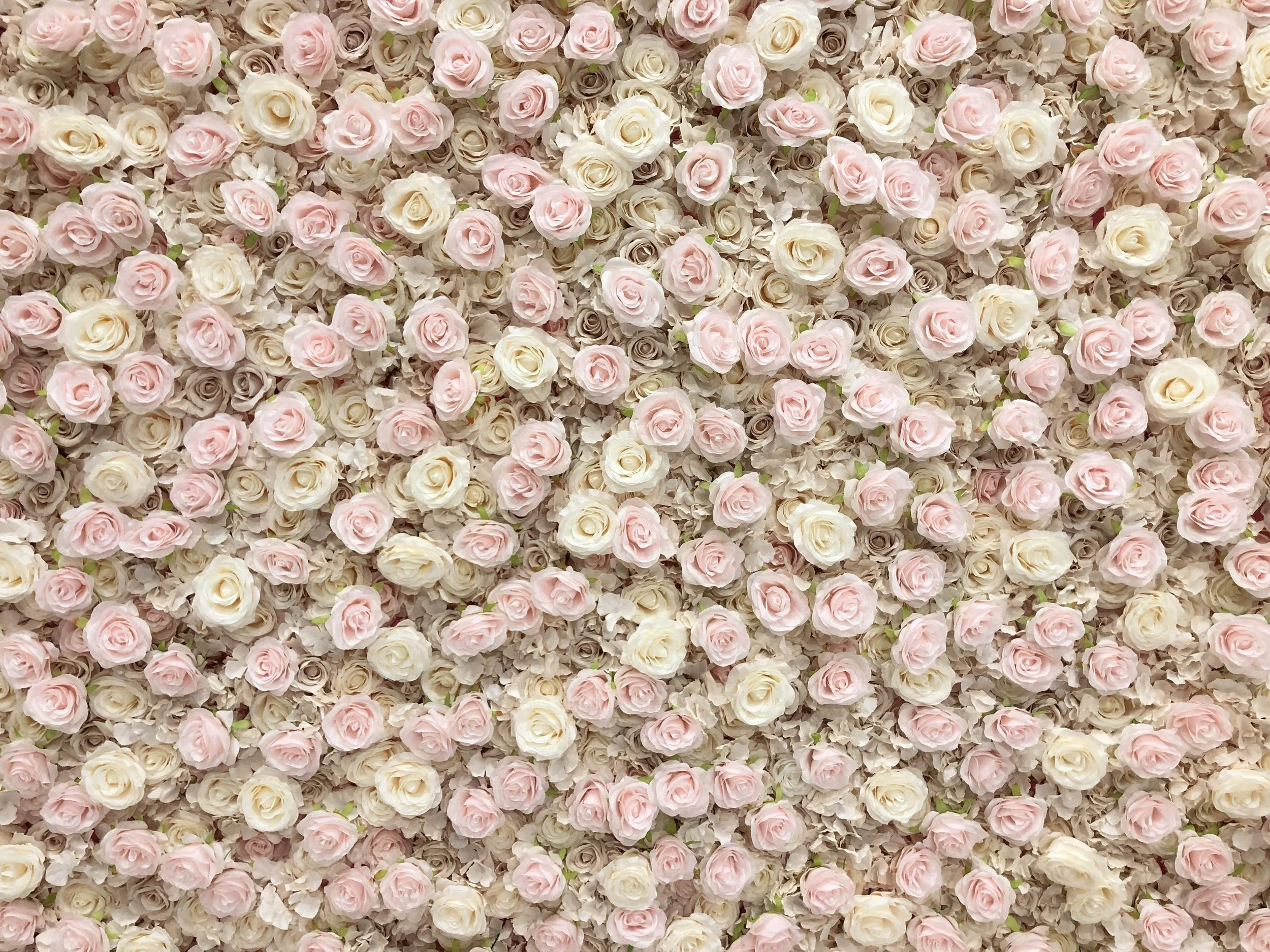 Flower Wall Rentals Flower Walls of Tampa