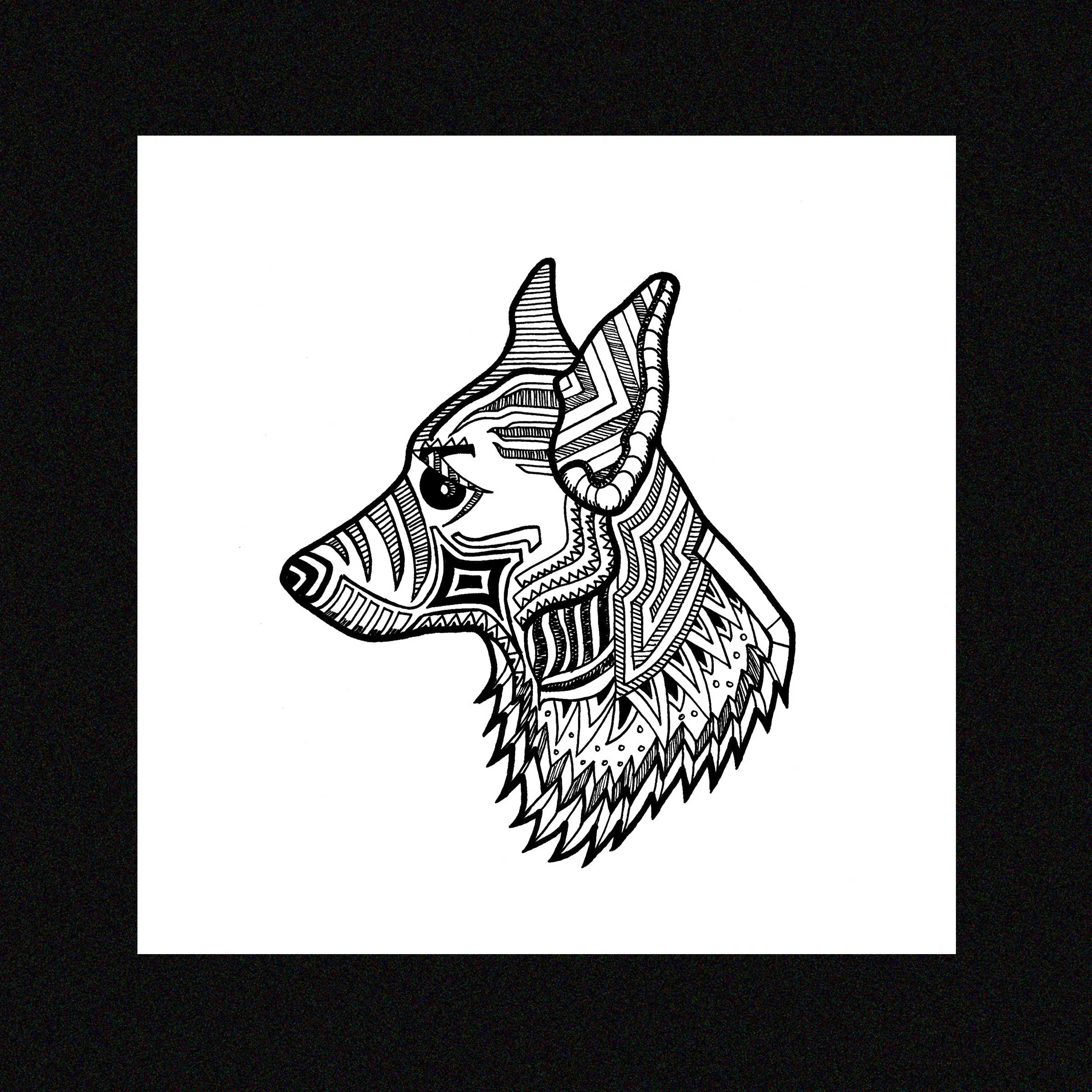 Shiba Inu