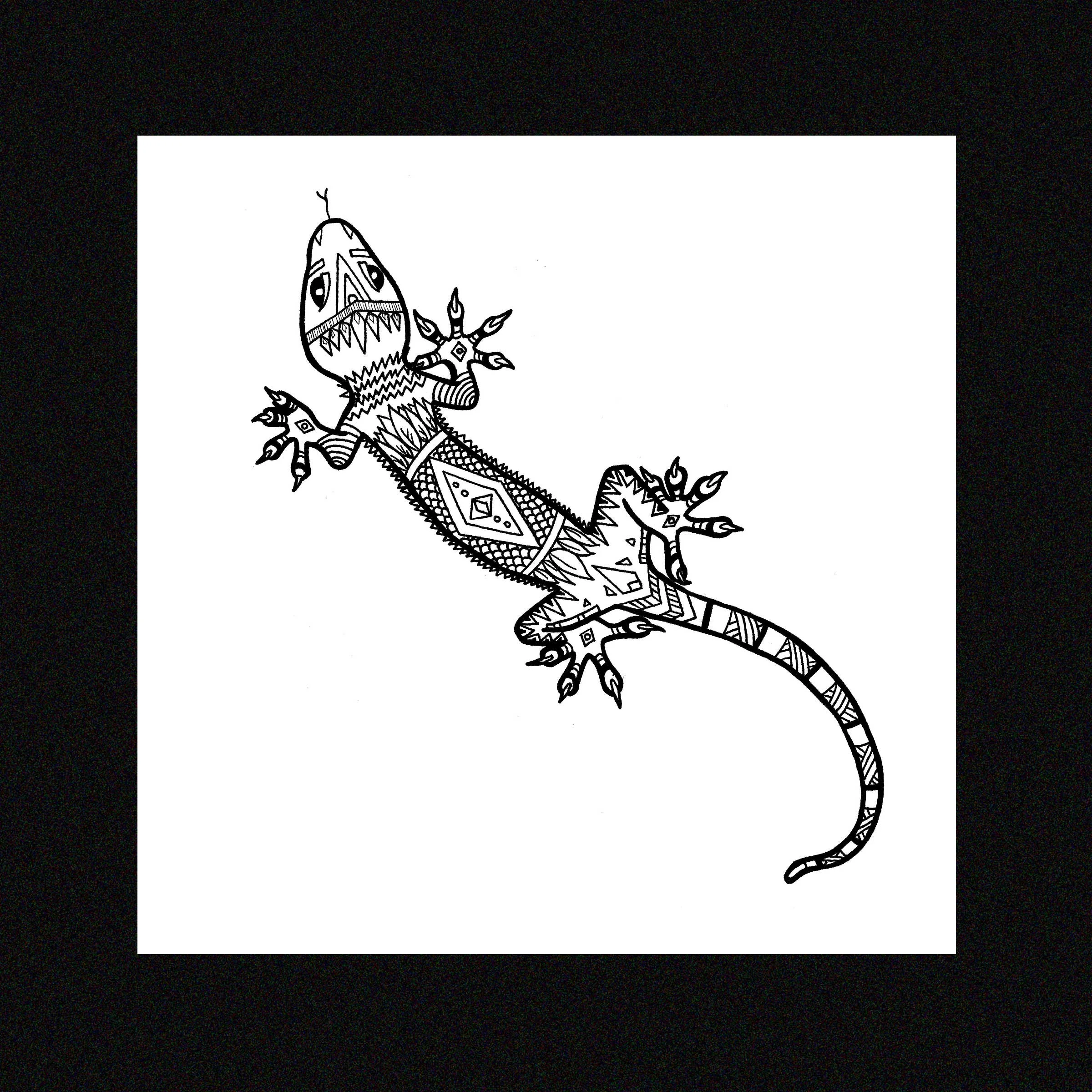 Gecko