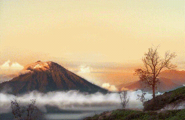 ezgif-4-9cbe7a5ff7.gif