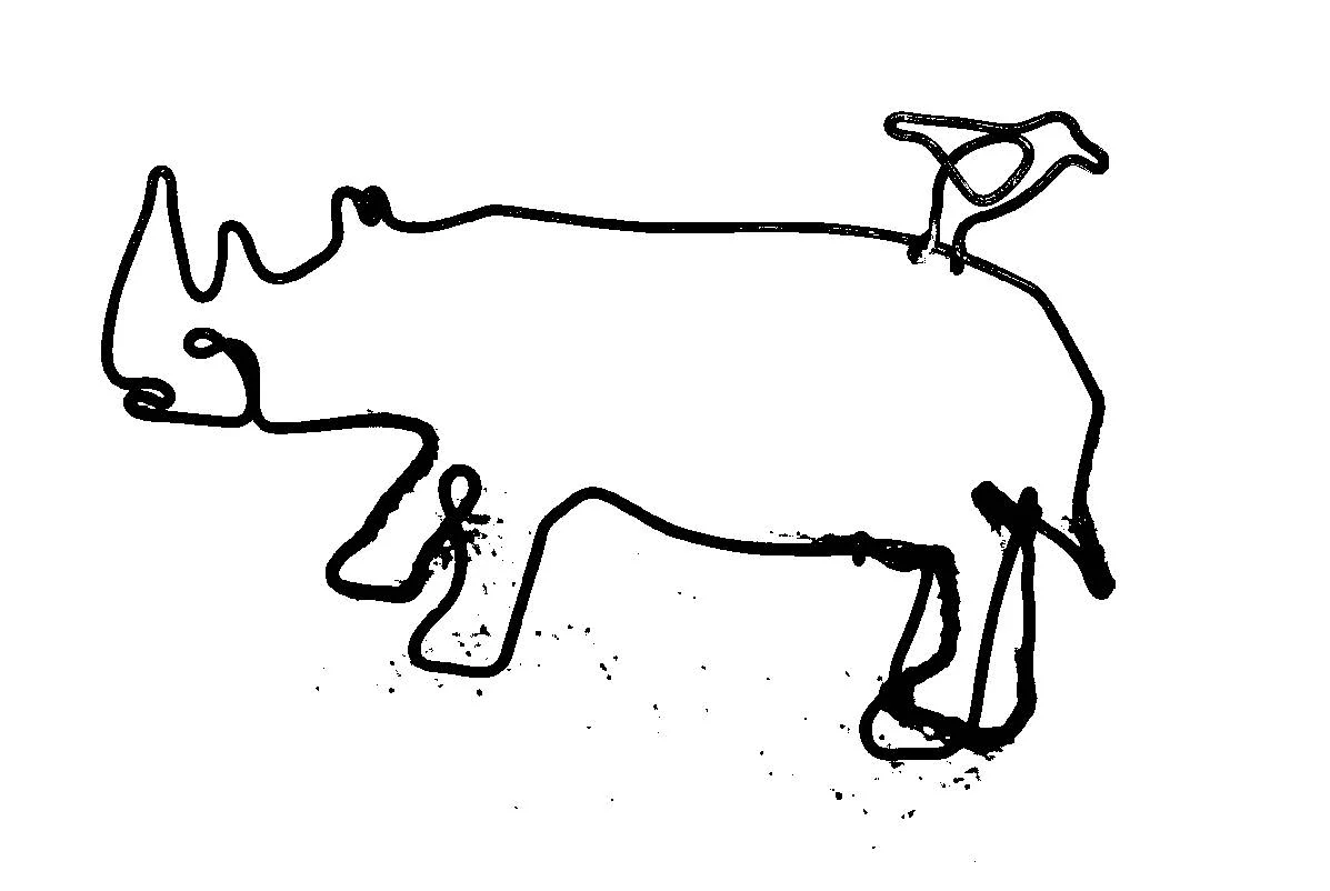 Wire Rhino