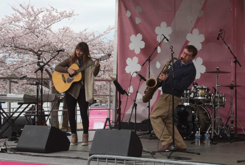 DISTRICT VOX // Politics &amp; Art: Spotlighting DC Artists