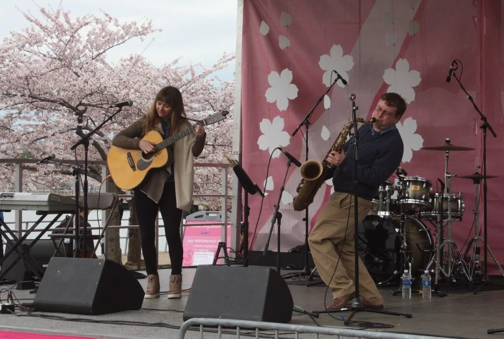 DISTRICT VOX // Politics &amp; Art: Spotlighting DC Artists