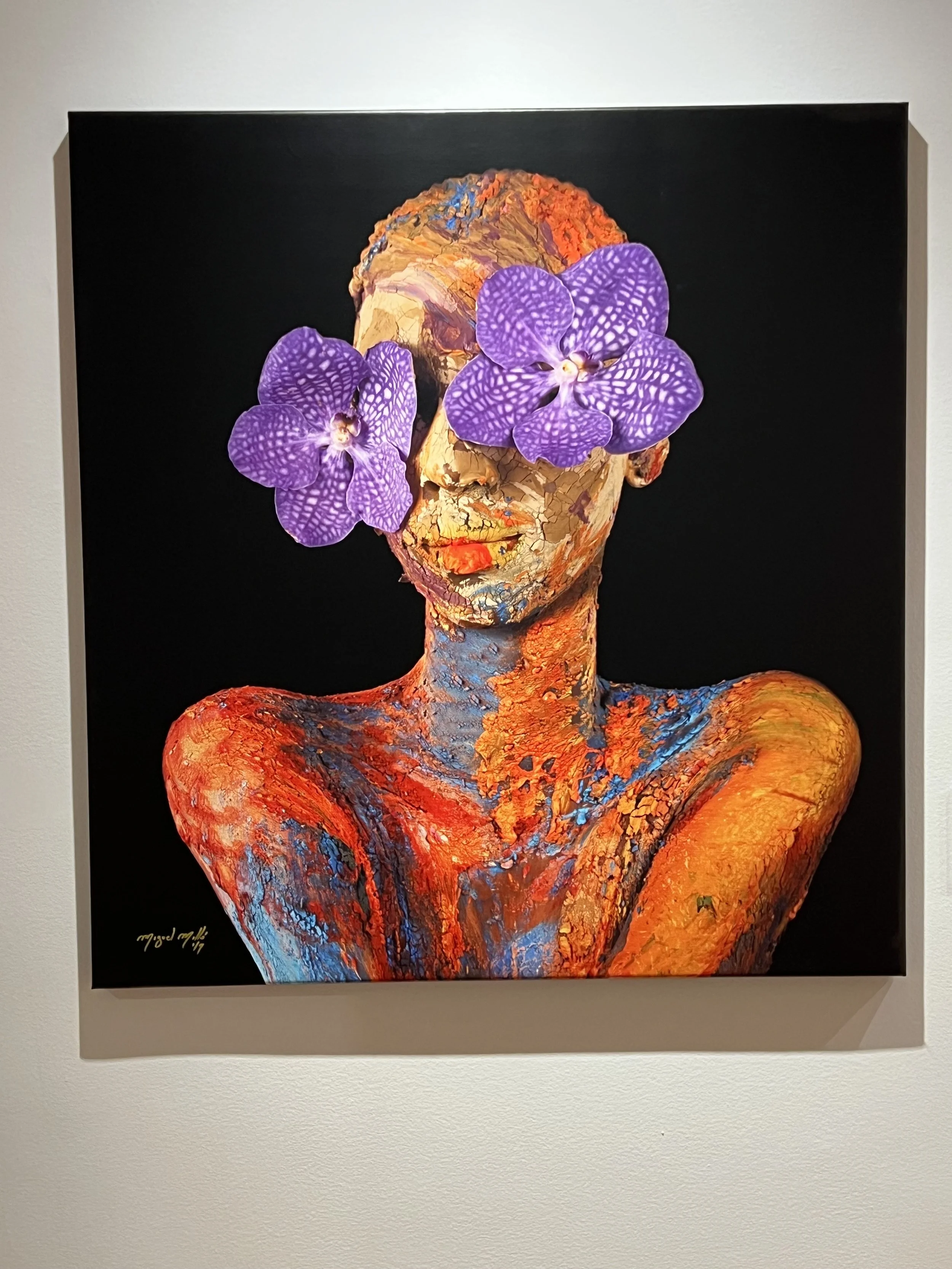 Miguel Milló's La Vida Entre Latidos at DC's Mexican Cultural Institute