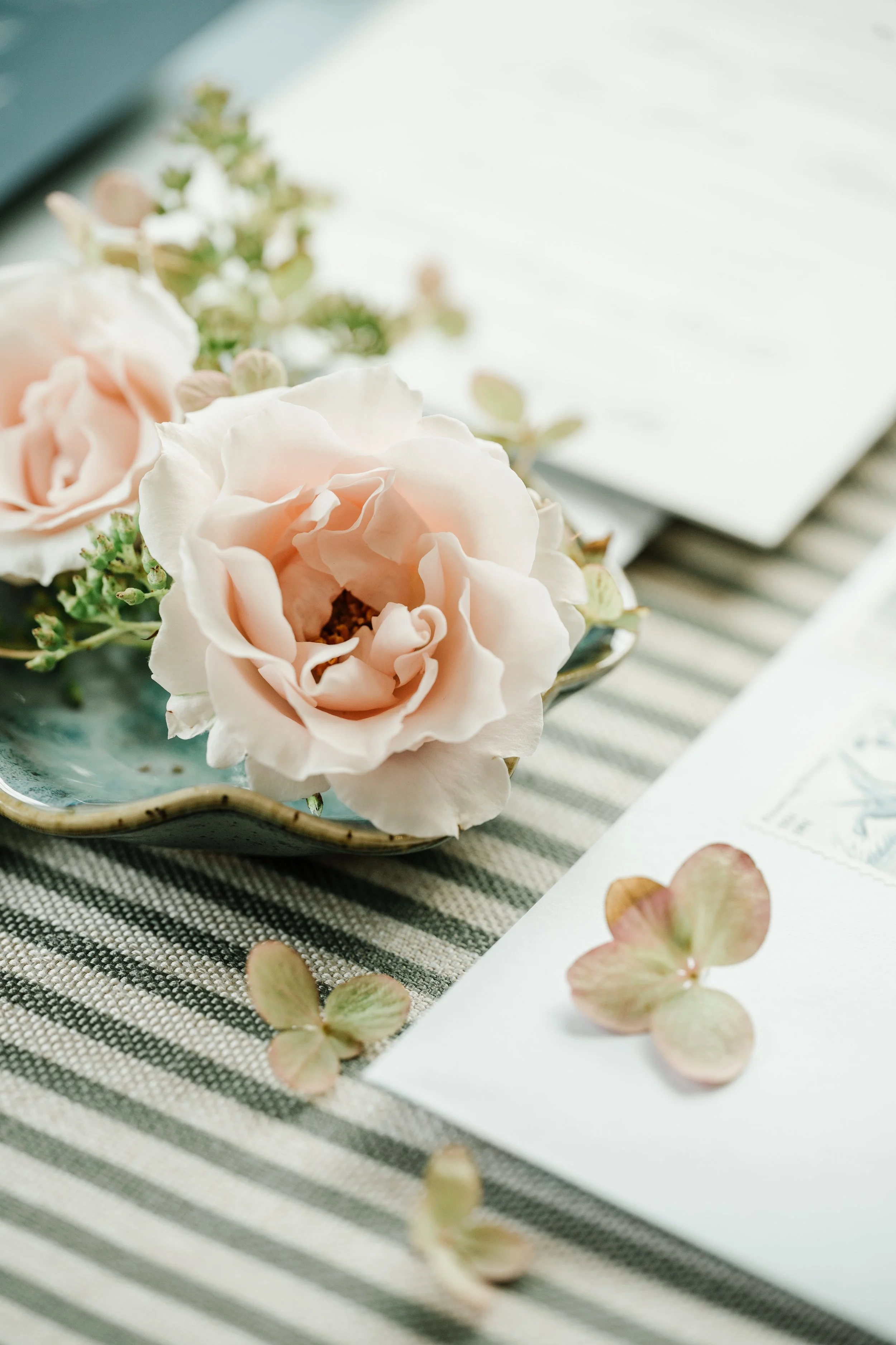 Lauren & Ross_ September 6 2025 - Annmarie Swift Photography ©-23-2.jpeg