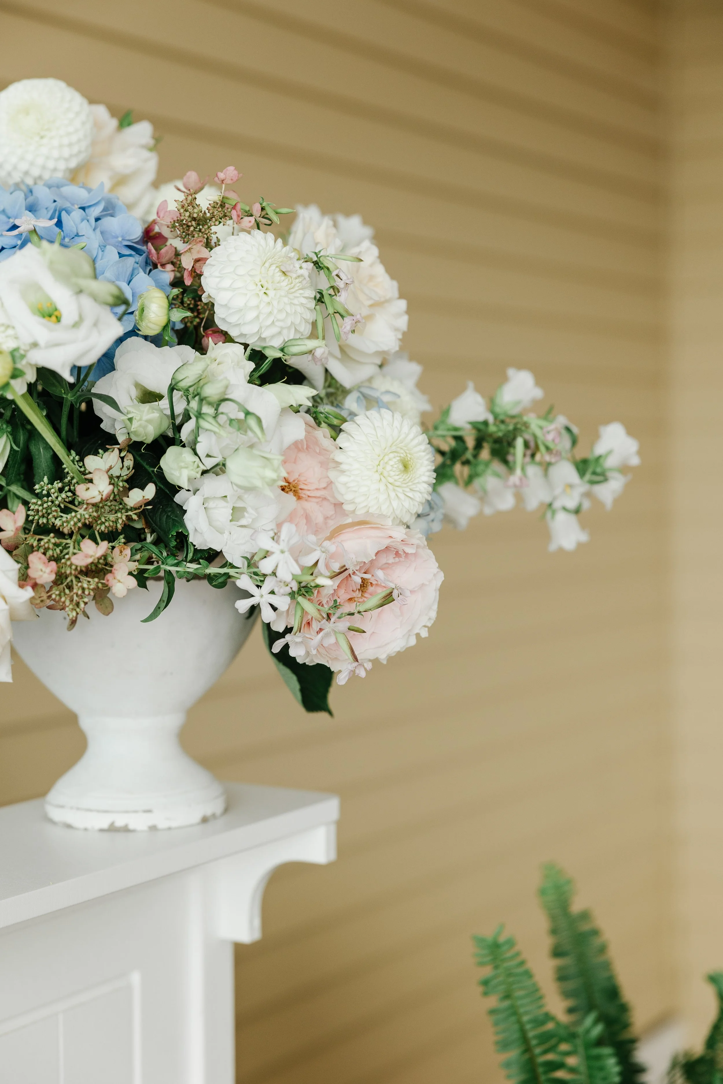 Lauren & Ross_ September 6 2025 - Annmarie Swift Photography ©-492.jpeg