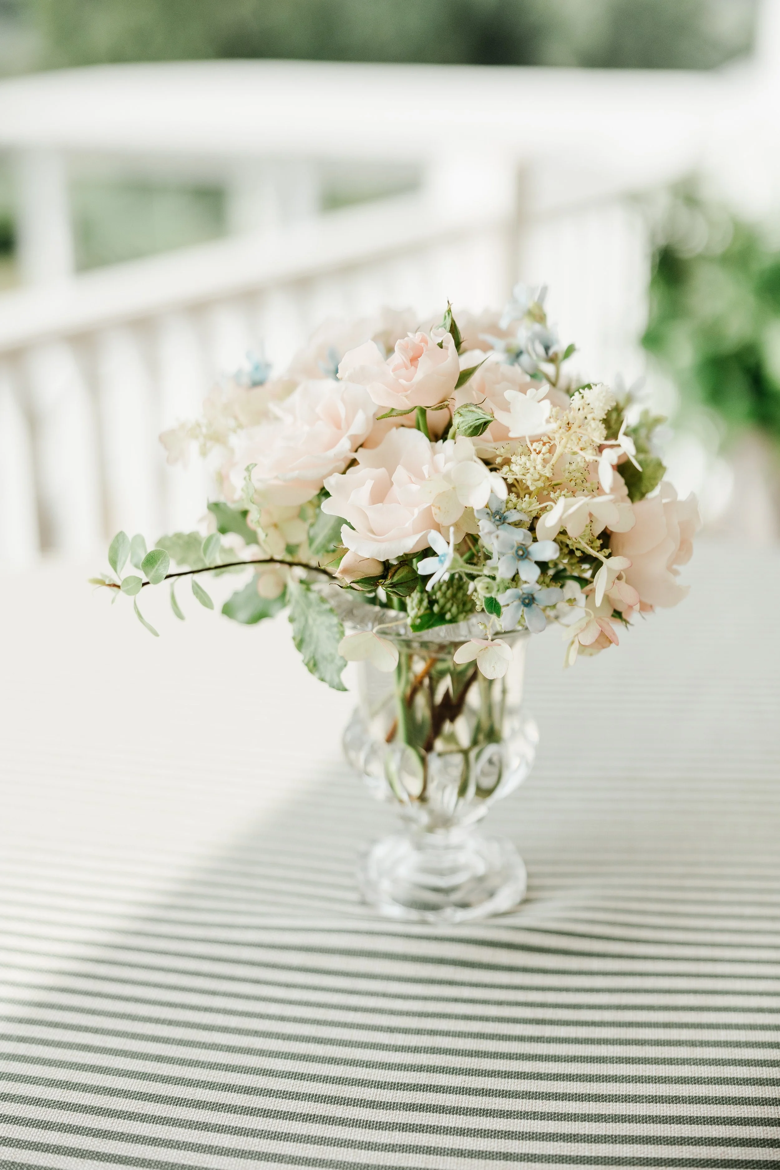 Lauren & Ross_ September 6 2025 - Annmarie Swift Photography ©-485.jpeg