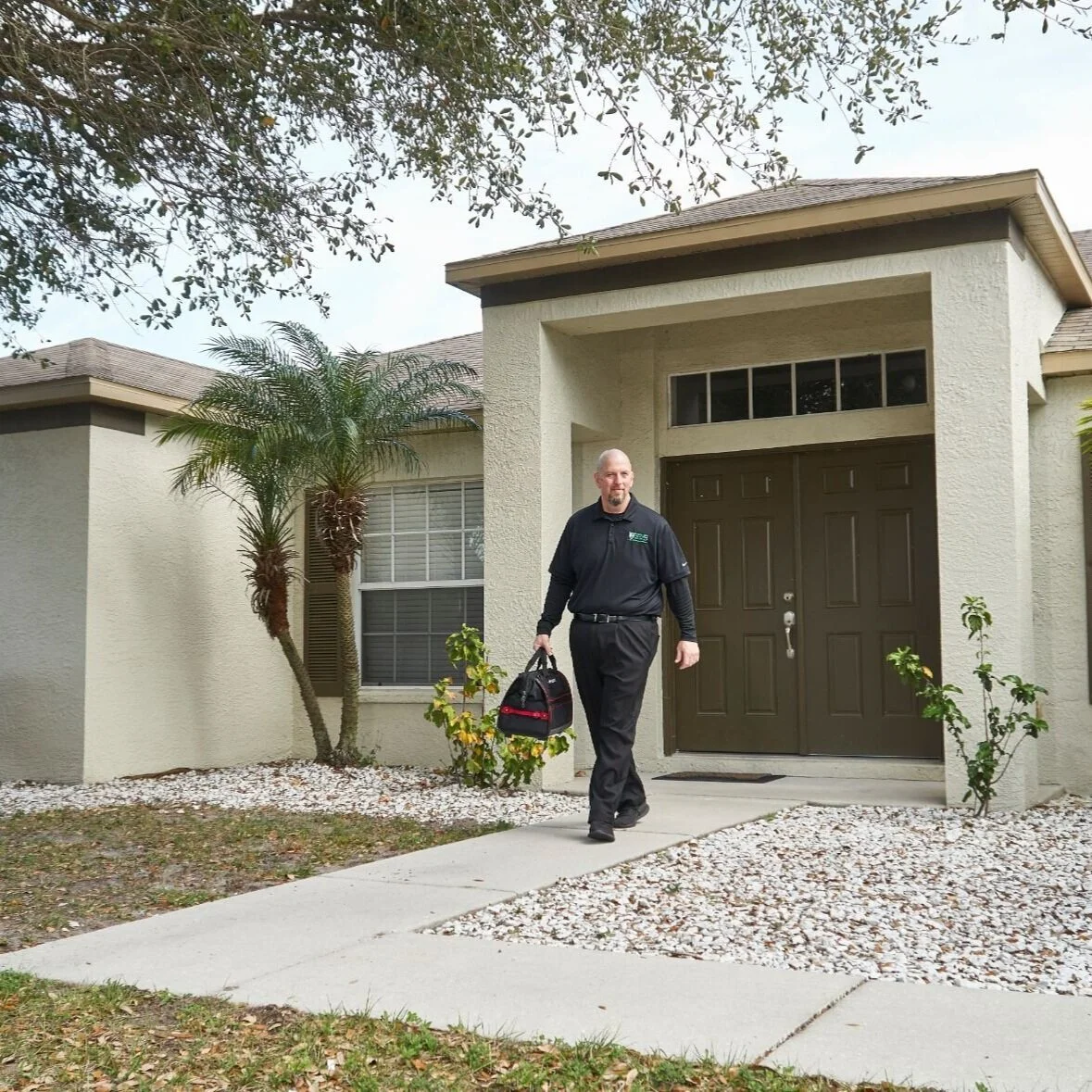 Termite Basics