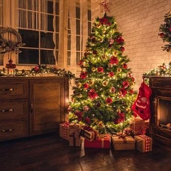 Unwelcome Holiday Guests: Here are the Pests Found in Christmas Trees