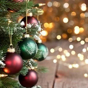 Your Pest Control Checklist for the Holidays