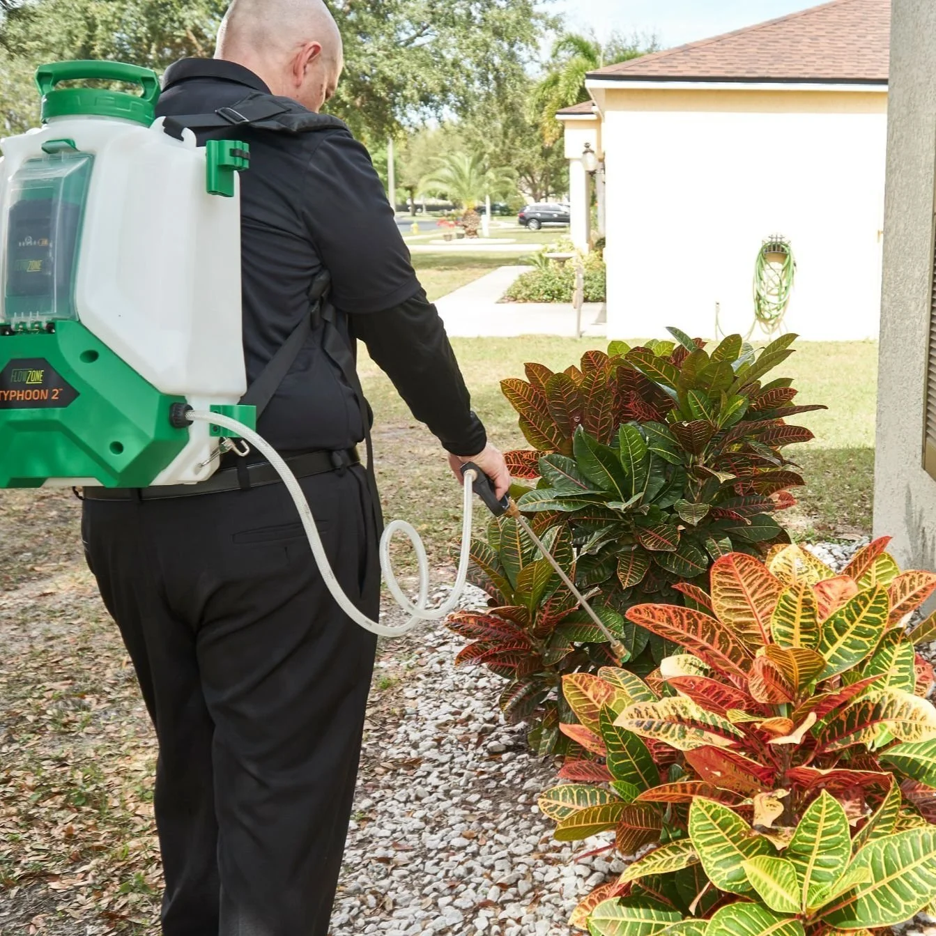 Learn Why Professional Pest Control is Best to Eradicate Cockroaches