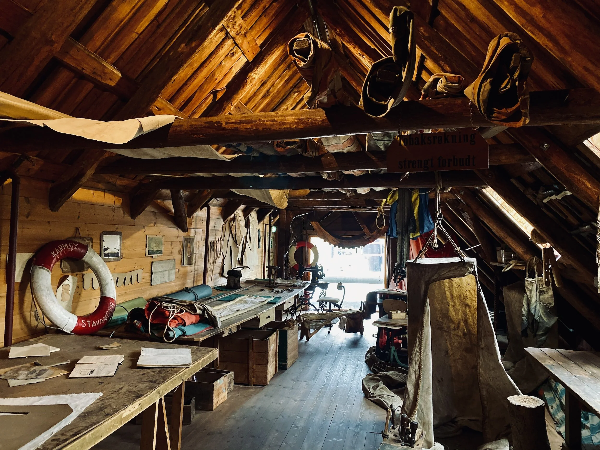 Common Pests That Inhabit Home Attics