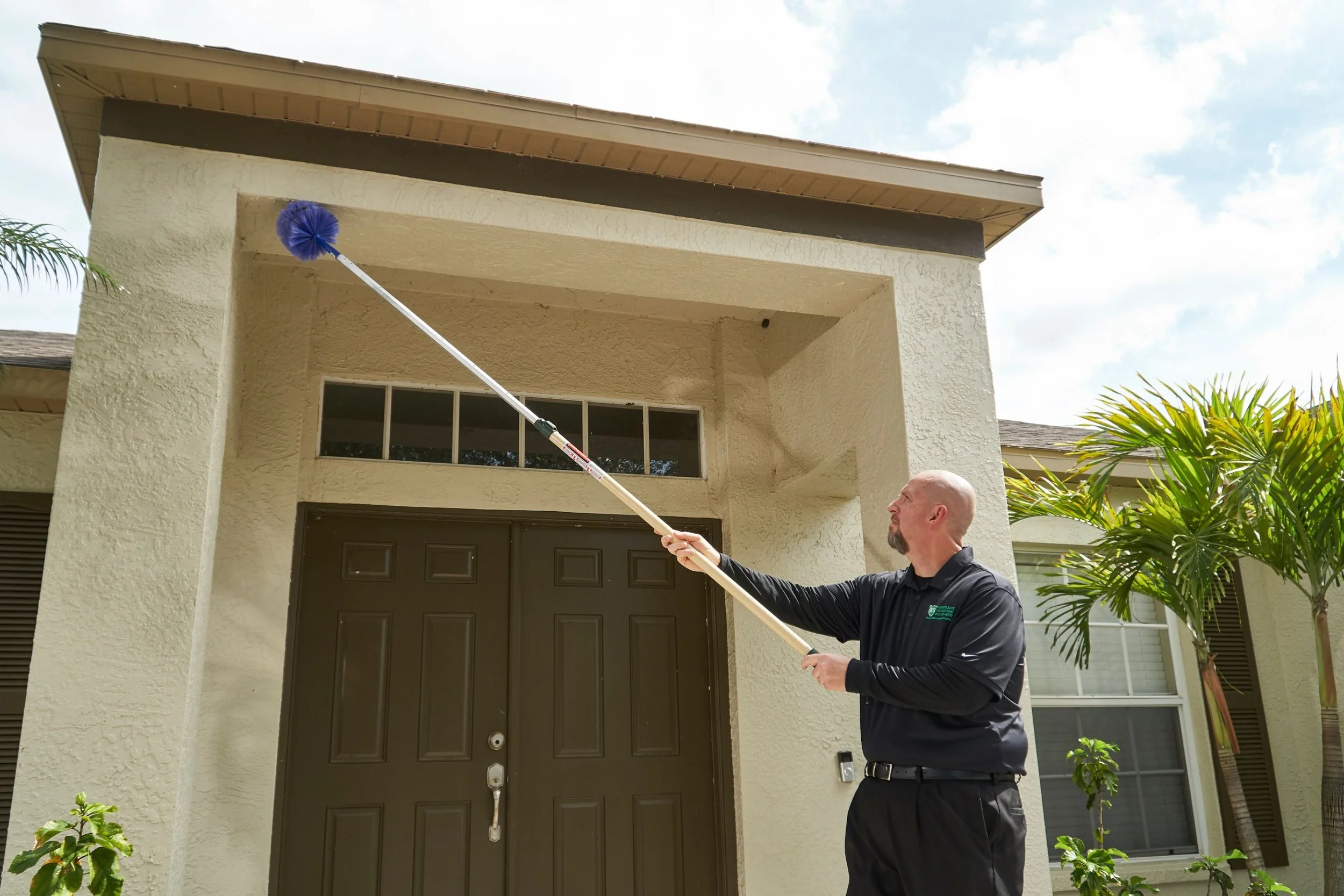 Is Ongoing Pest Control Service the Best Choice?