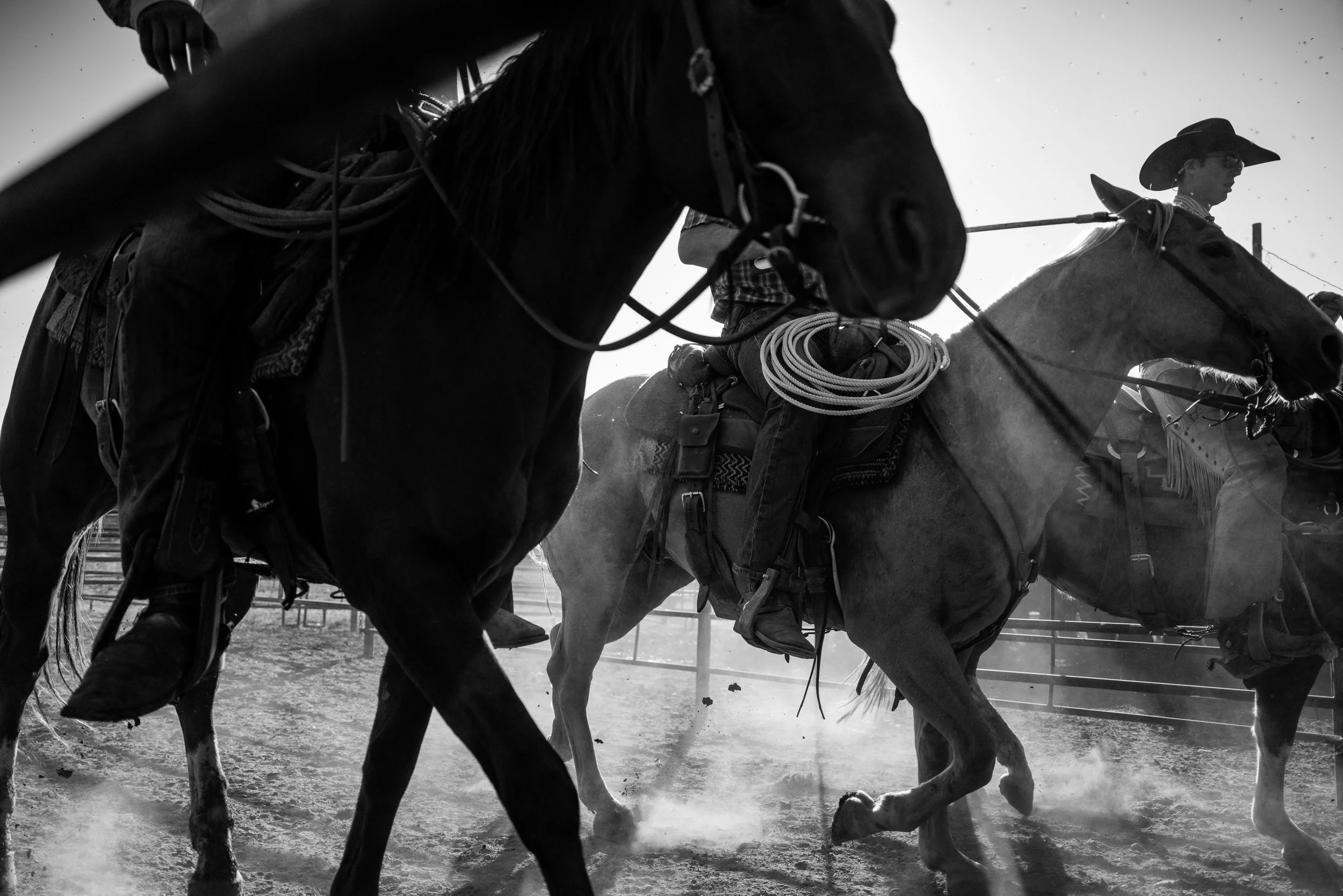 Bring 'Em Canvas Print