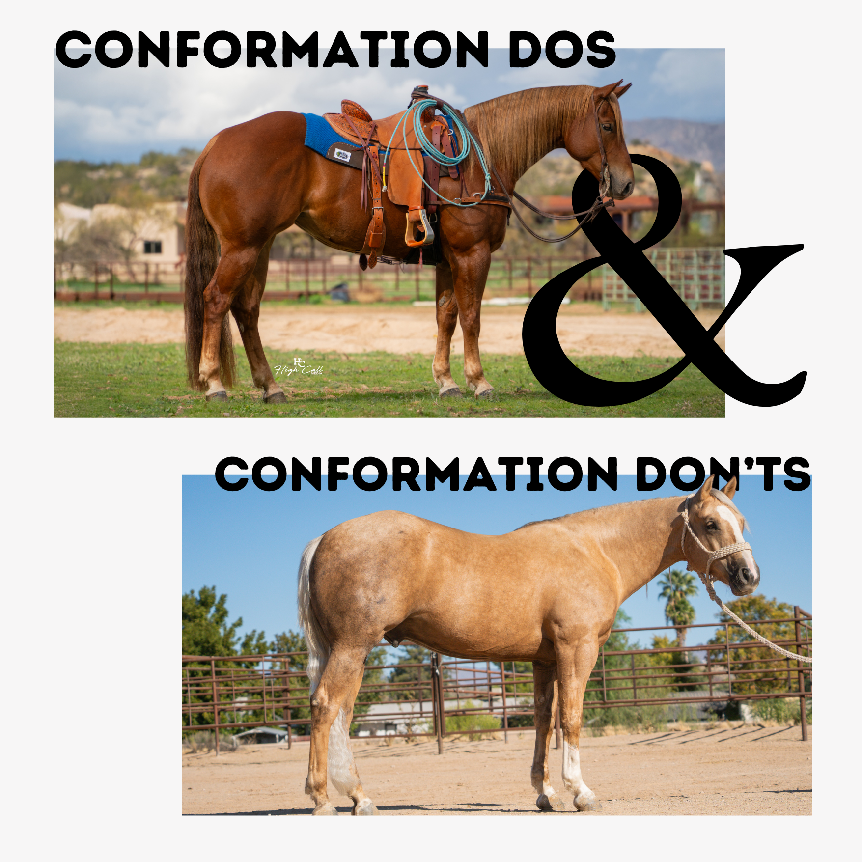 3.png (Copy)