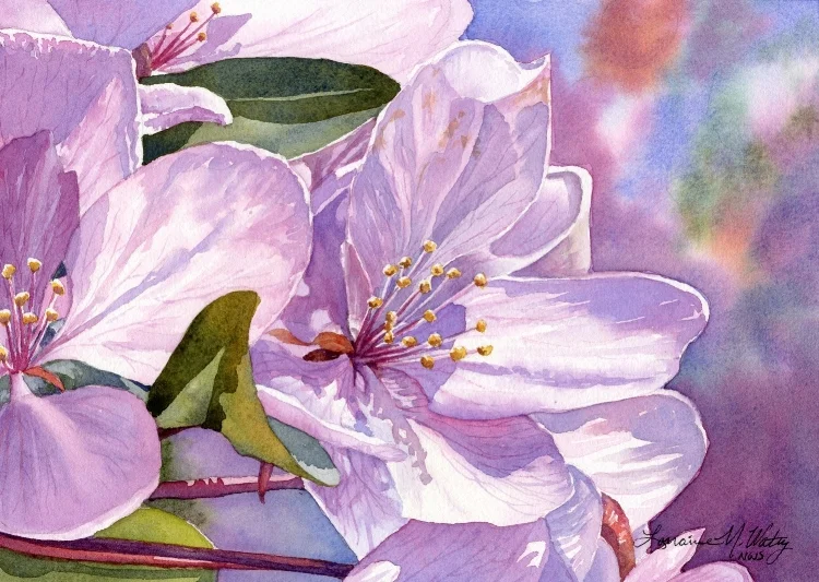 Watercolor Paintings Lorraine Watry Fine Art Lorraine Watry Studio