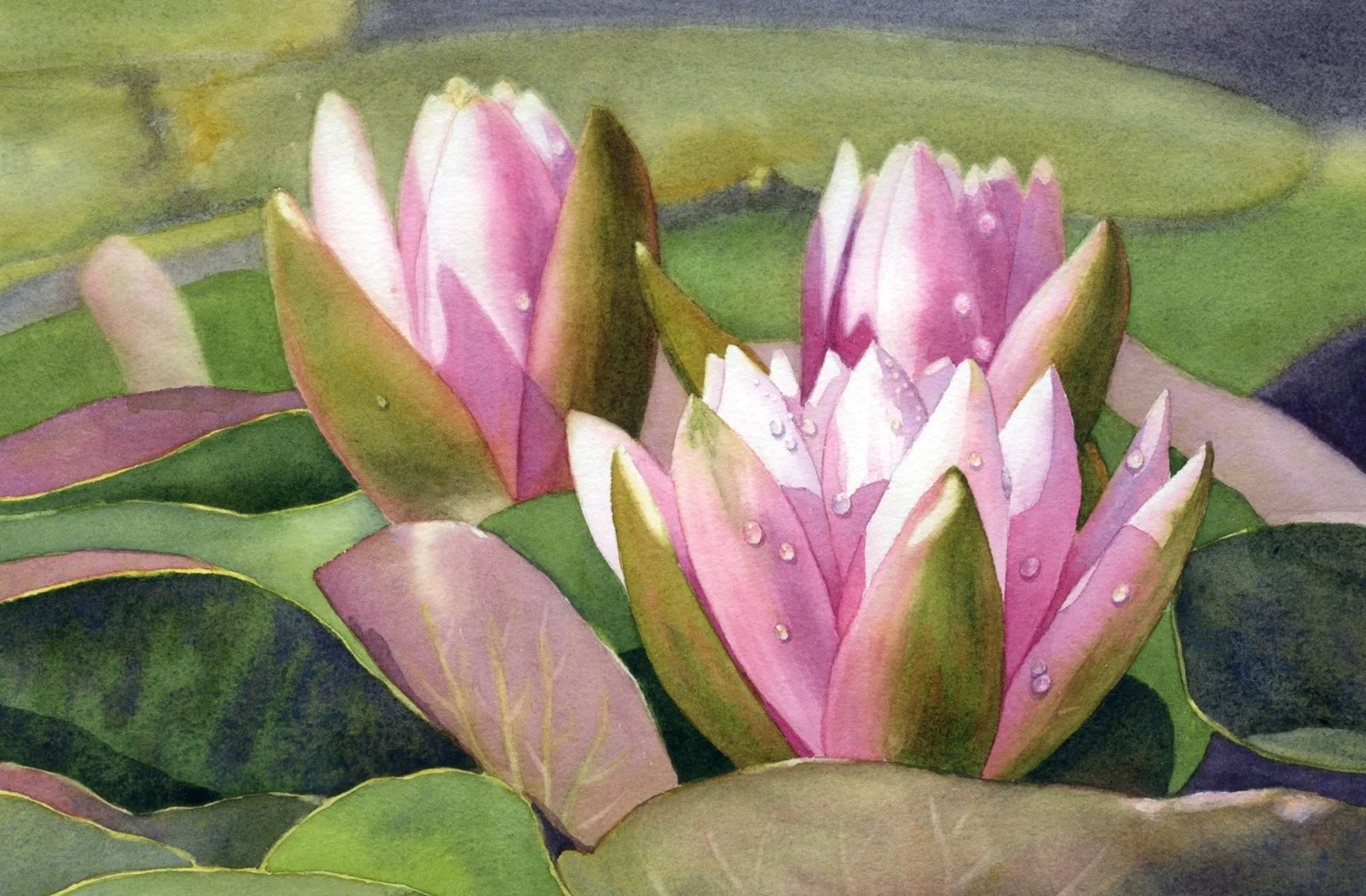 Sun Drenched Lilies © Lorraine Watry