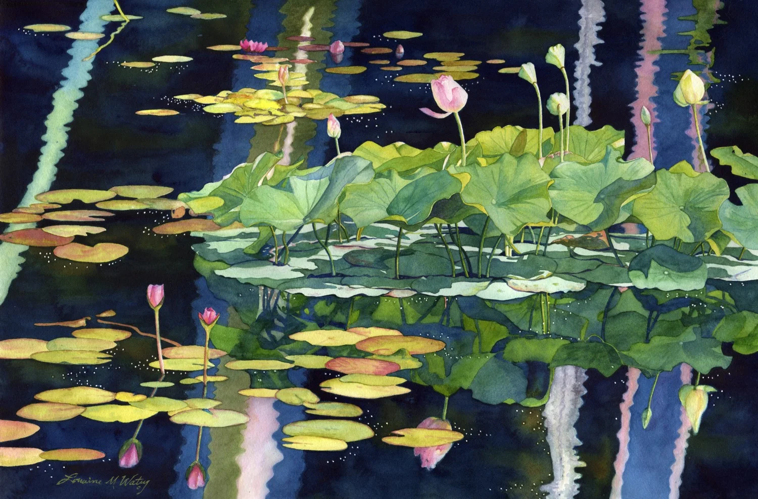 Waterlily Chorus © Lorraine Watry