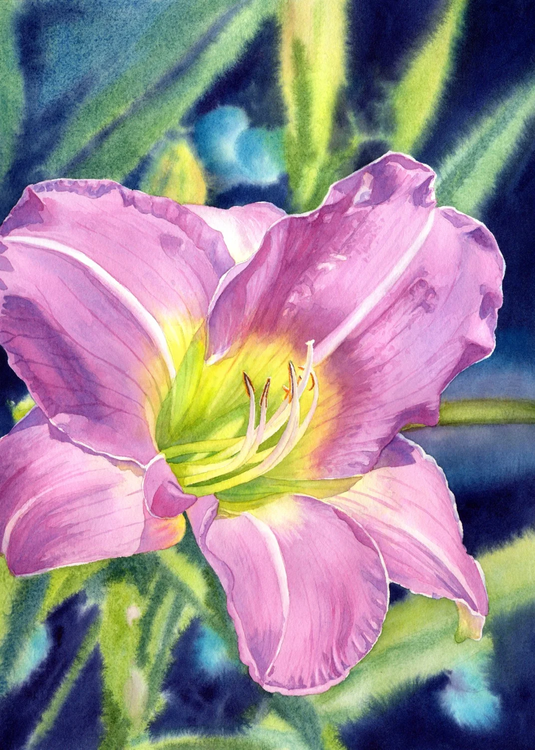 Lavender Vista Daylily © Lorraine Watry