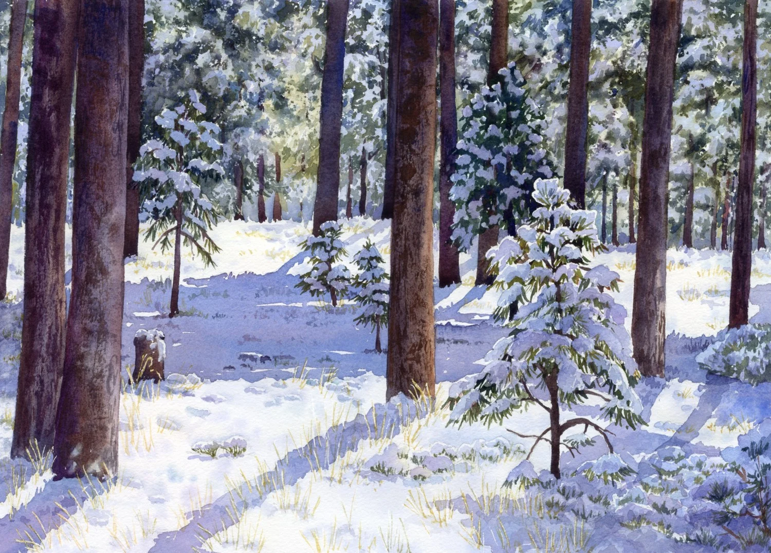 Black Forest Snow watercolor by Lorraine Watry