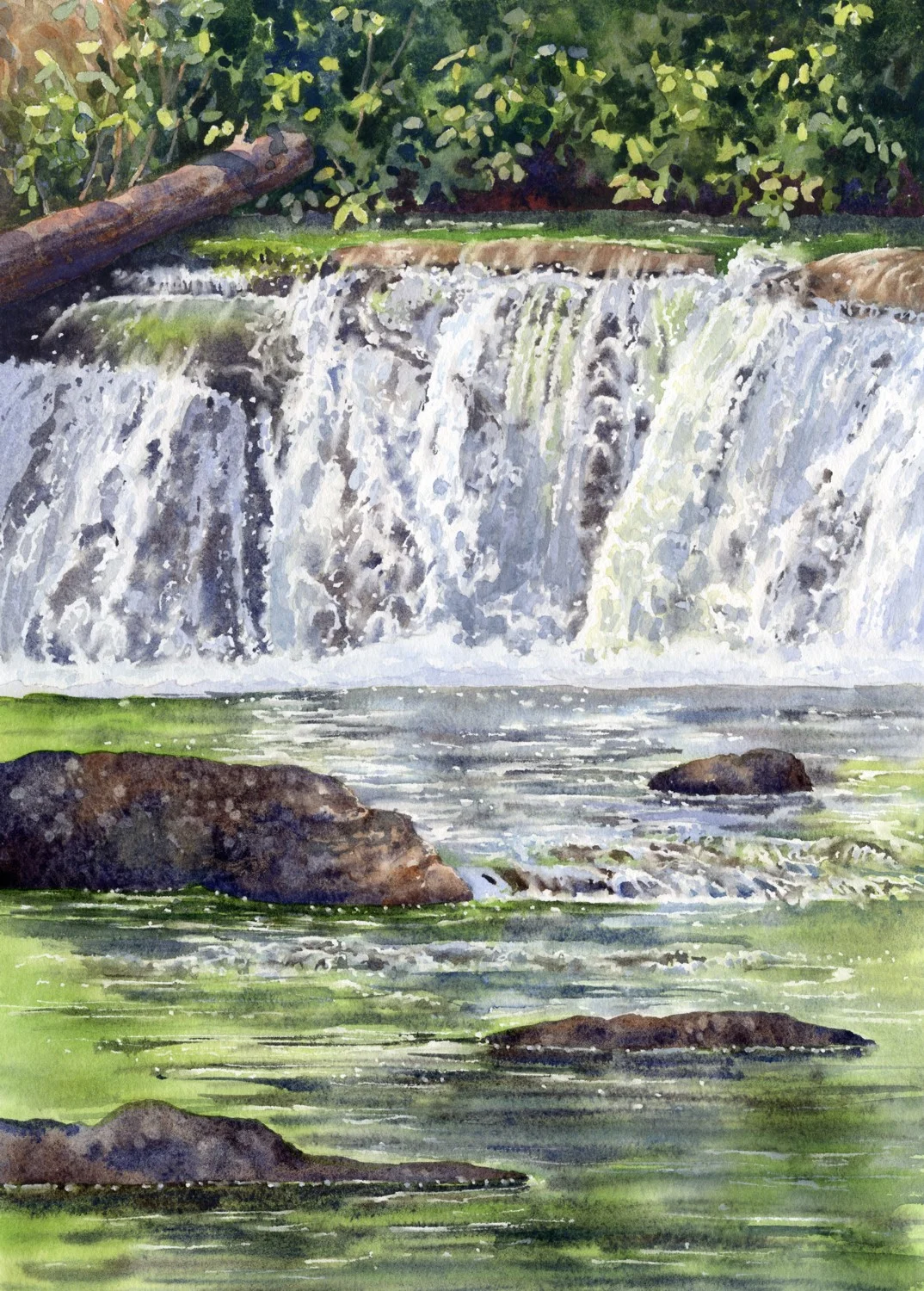 Cascading Falls © Lorraine Watry