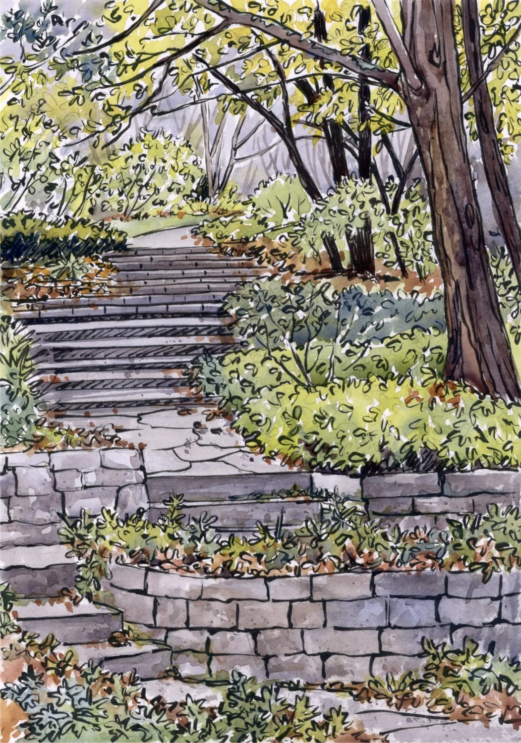 Garden Mist © Lorraine Watry