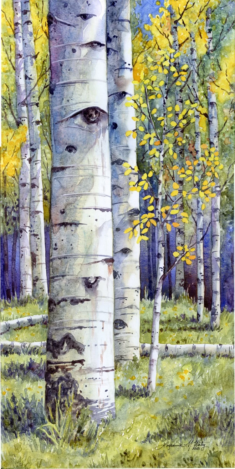 First Fall © Lorraine Watry