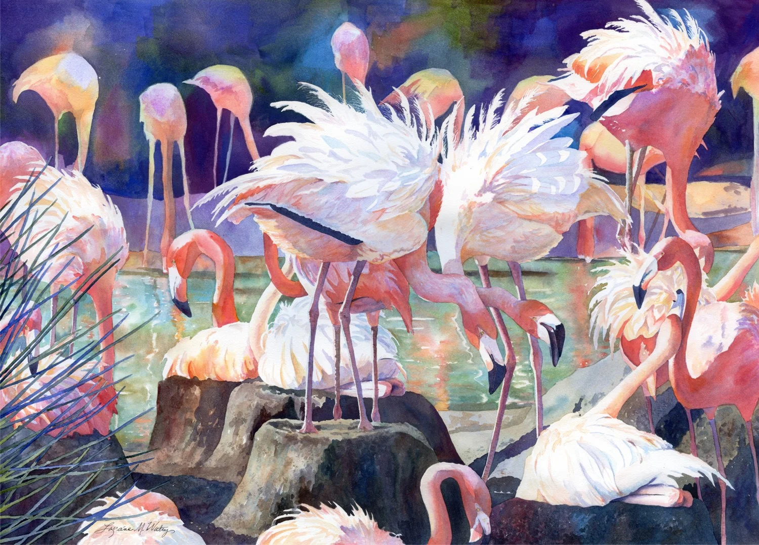 Flamingo Dance © Lorraine Watry