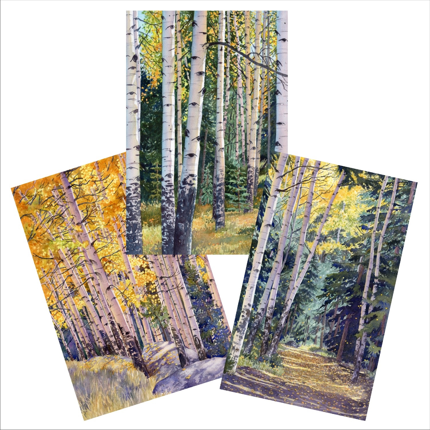 Aspen blank note cards from original watercolors by Lorraine Watry