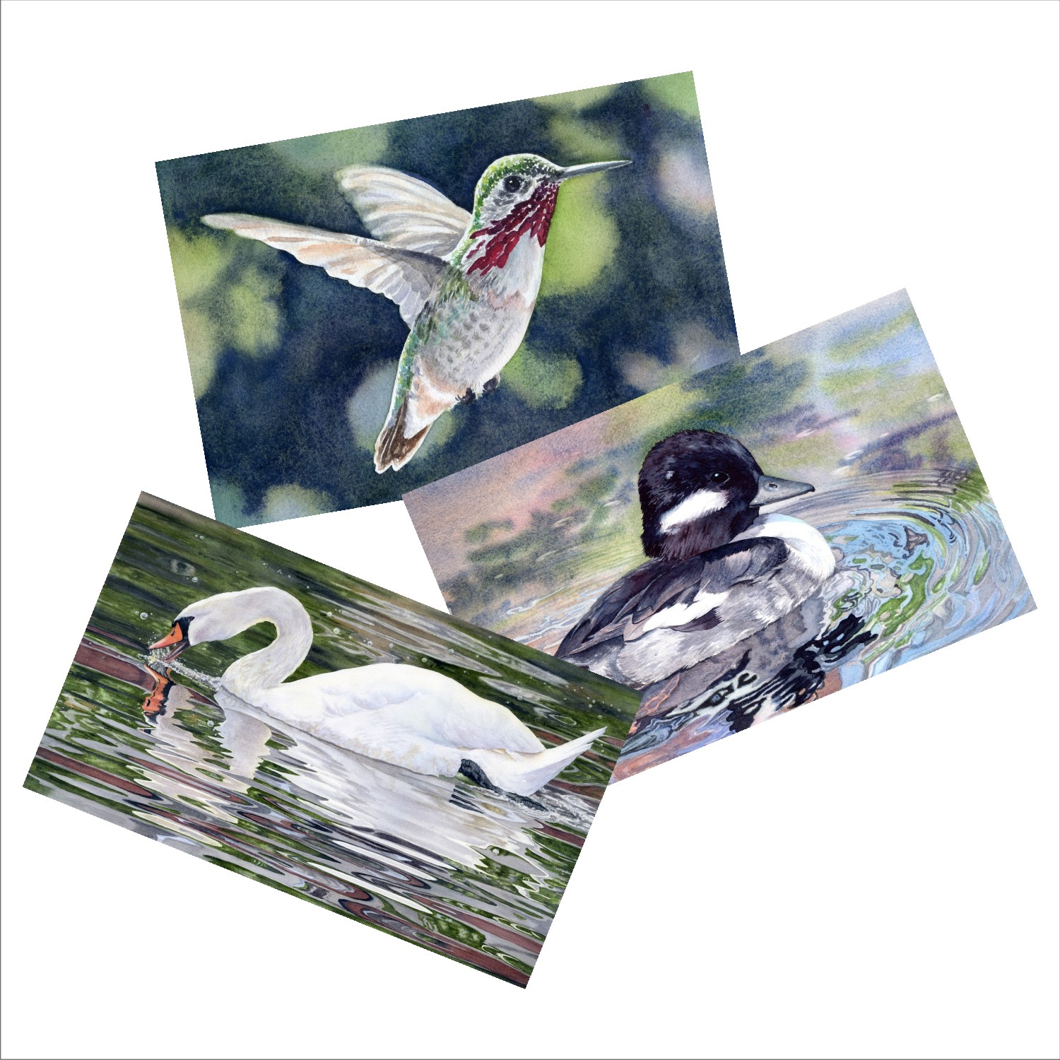 Bird Scene Blank Note Card Sets from watercolors by Lorraine Watry