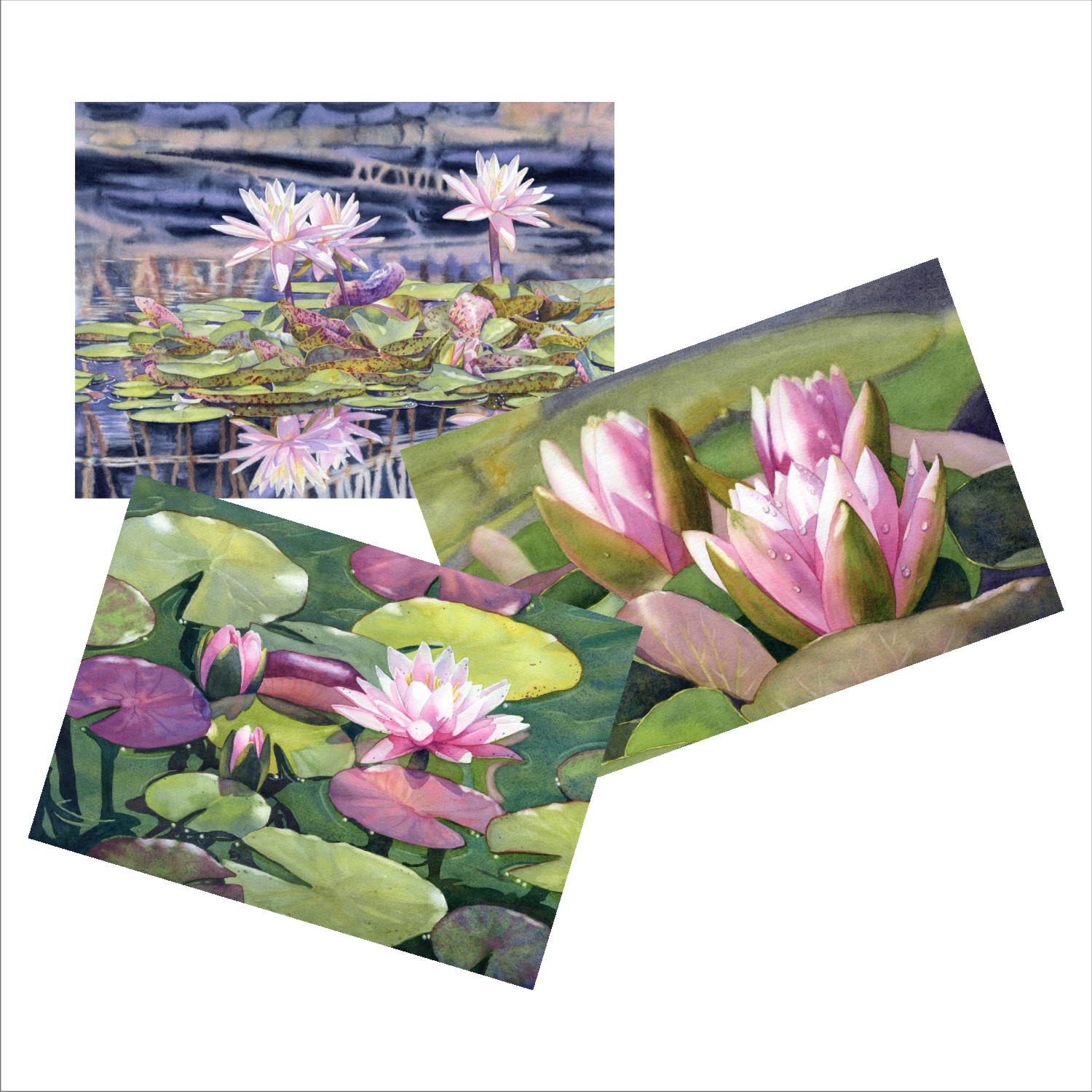 Waterlily Blank Note Cards from watercolors by Lorraine Watry