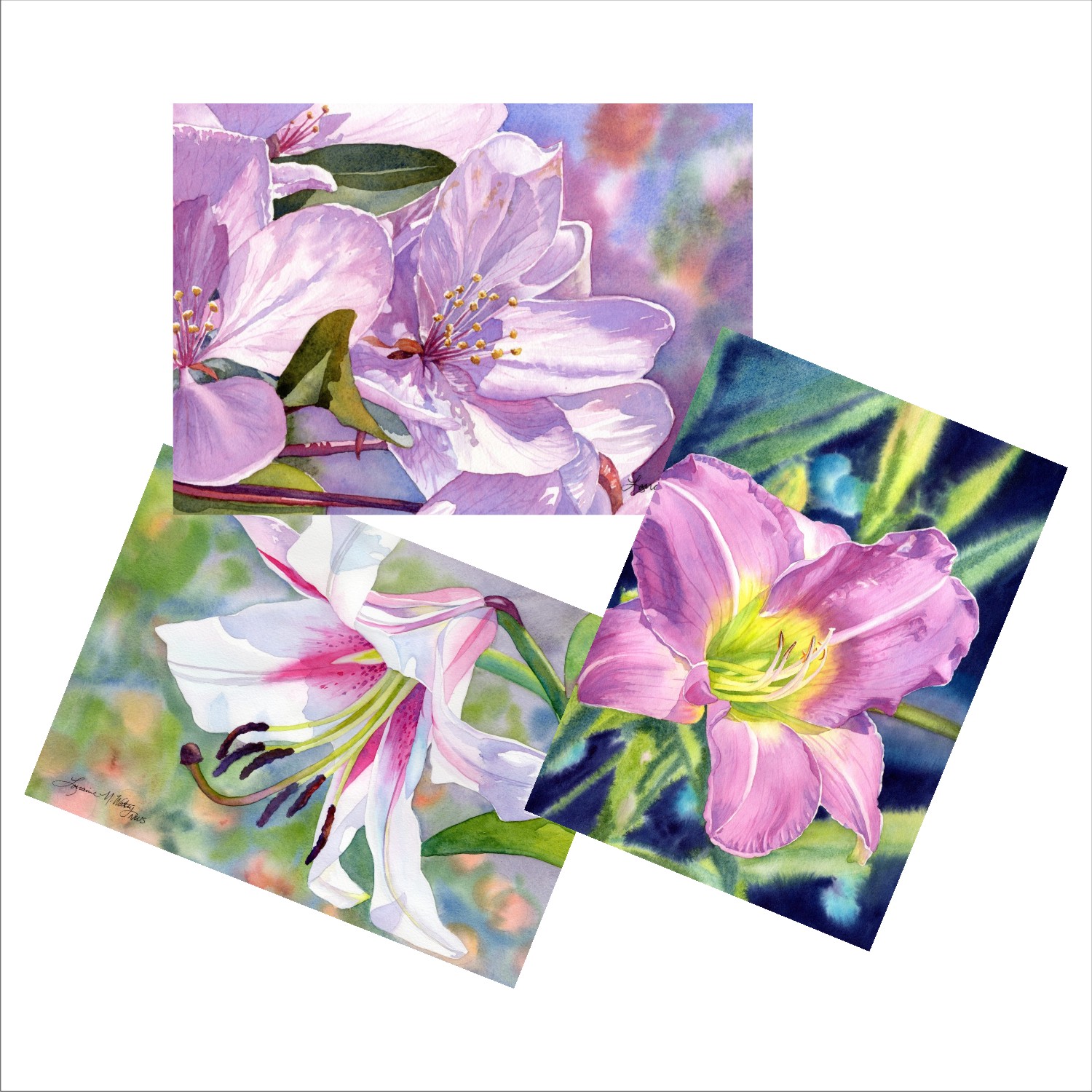Flower Scene Blank Note Cards from watercolors by Lorraine Watry
