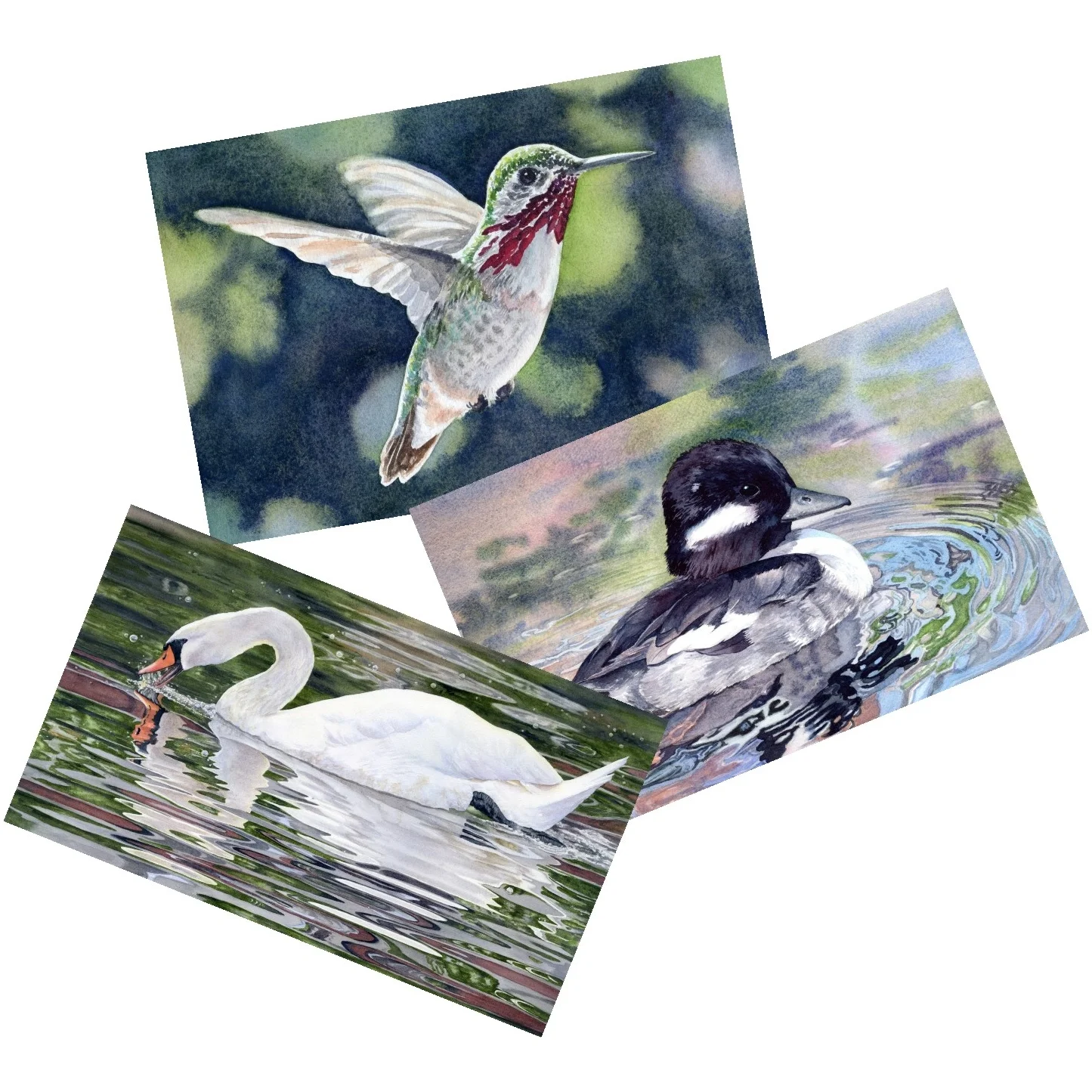 blank-note-cards-bird-scene-prints-lorraine-watry.jpg
