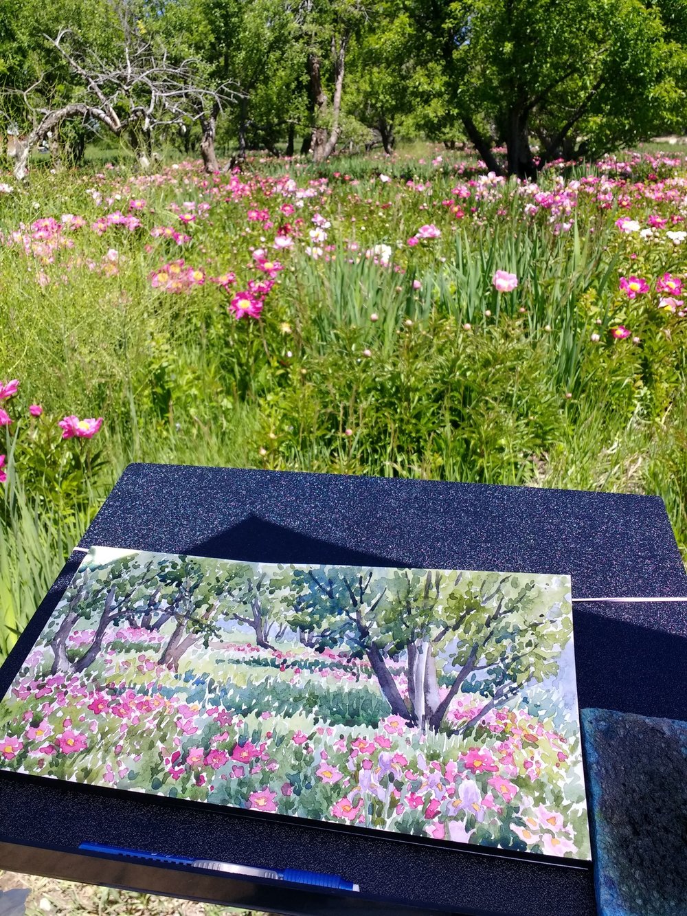 plein-air-painting-Lorraine-Watry-La-Resolana-Peony-Farm-Pueblo-Colorado-2.jpg