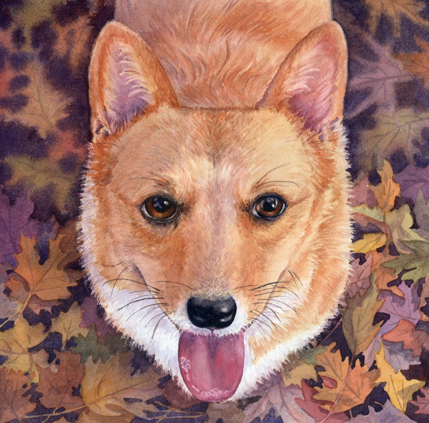 Playing With Leaves © Lorraine Watry