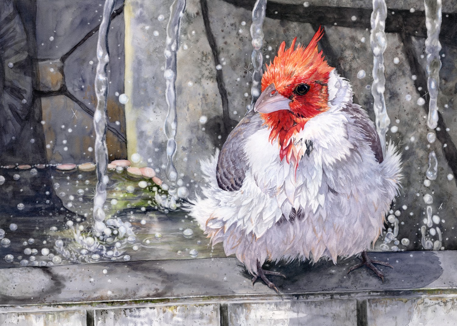 Spa Day © Lorraine Watry