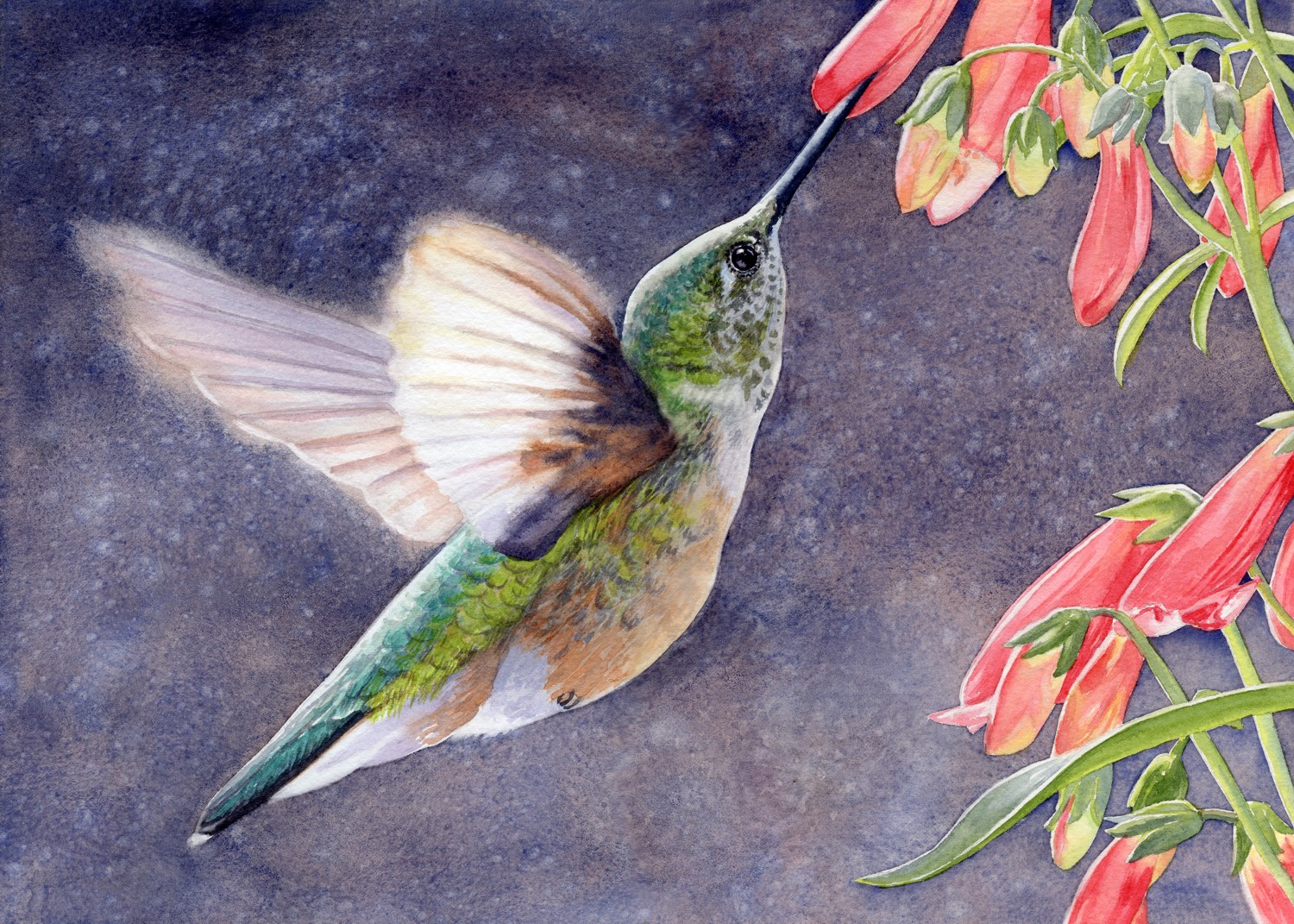The Sweetest Nectar © Lorraine Watry