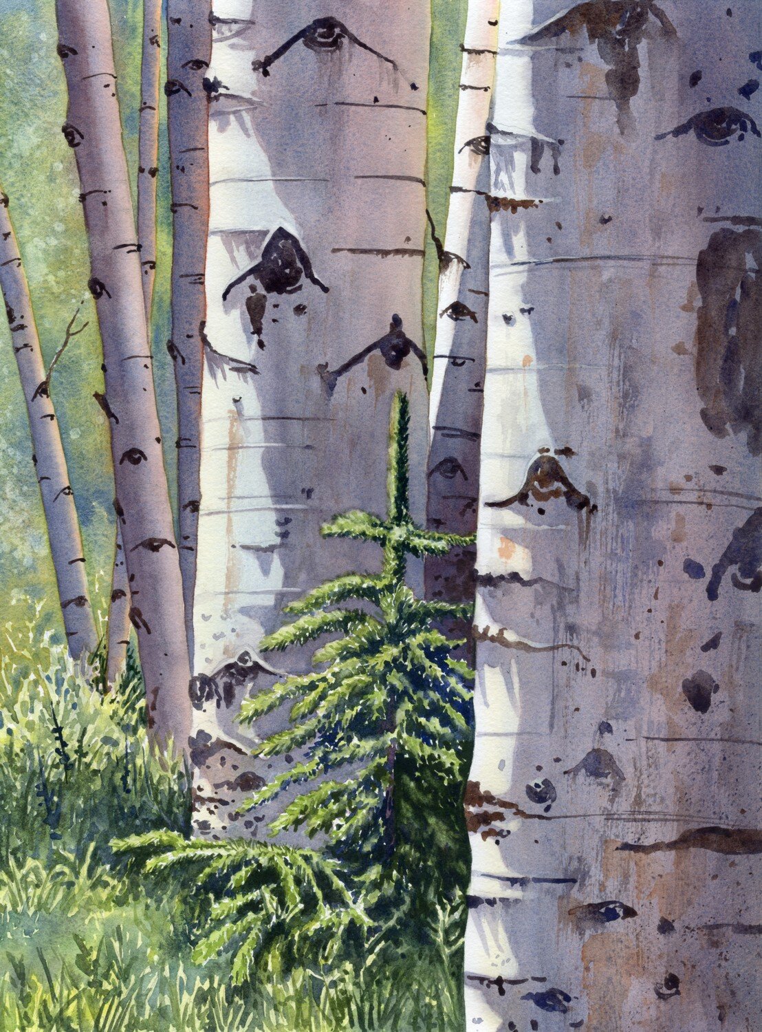 Nesteled-Among-Aspen-watercolor-Lorraine-Watry.jpg