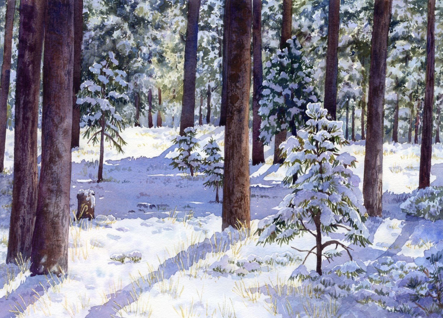 Black-Forest-Snow-watercolor-Lorraine-Watry.jpg