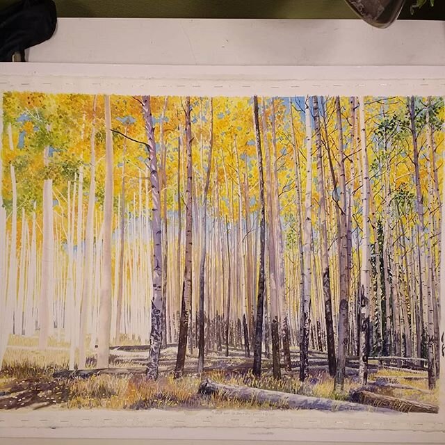 W.I.P. - well, I've gotten a little farther. I haven't had a lot of time to paint, though. I needed to paint some of the dark eyes and marks on the trees to make sure my other values were working.
. 
This Aspen grove is a painting that I started a fe