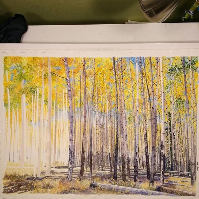 W.I.P. - since the last post, I have darkened some of the shadows on a few of the tree trunks and then I added the 'eyes' and marks to most of the trees in the middle. Now on to the final third of the painting!
. 
This Aspen grove is a painting that 
