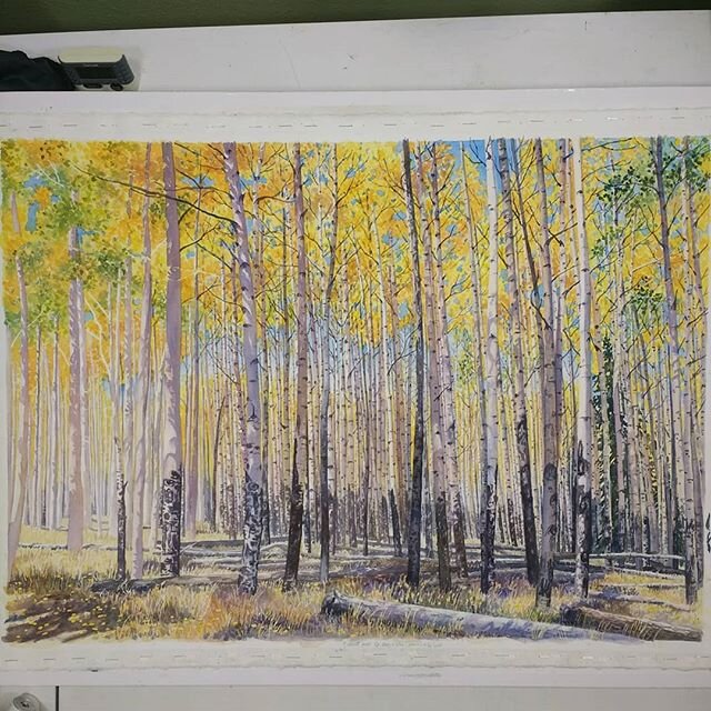 W.I.P. watercolor (18&quot;x28&quot;) - I'm getting there! The Aspen trees on the left will still need some shadows. Then the challenge will be to add or take away color so that there is depth in the painting and the foreground trees have some separa