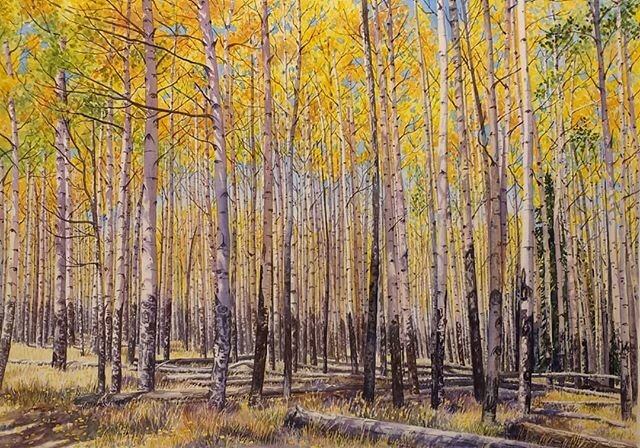 Finished! &quot;Together They Stand&quot; watercolor (18&quot;x28&quot;) on cold press Arches 140lb paper. . 
This Aspen grove is a painting that I started a few years ago. I put it away for a while to work on other projects. I brought it out recentl