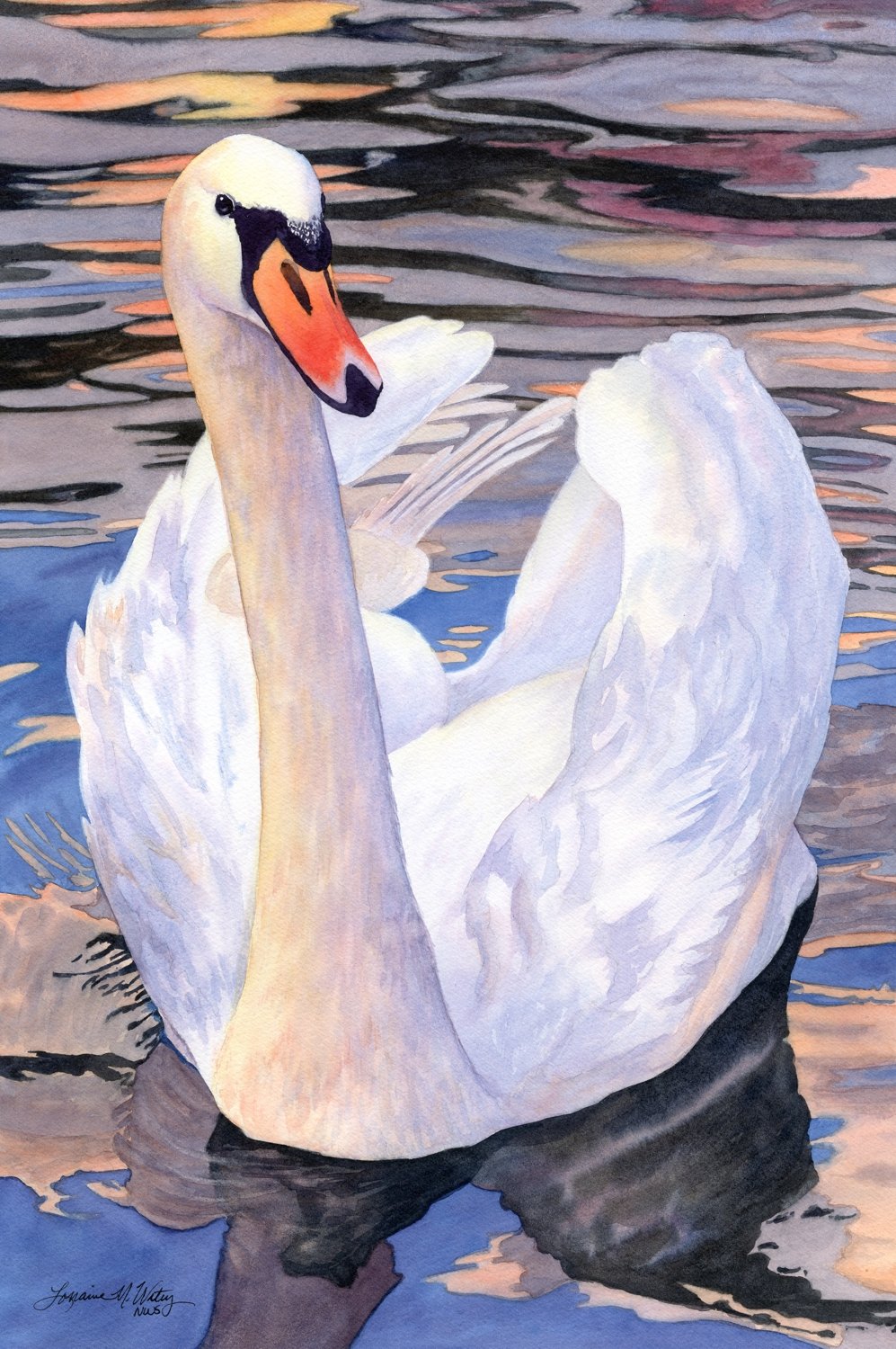 Graceful-Glider-watercolor-by-Lorraine-Watry.jpg