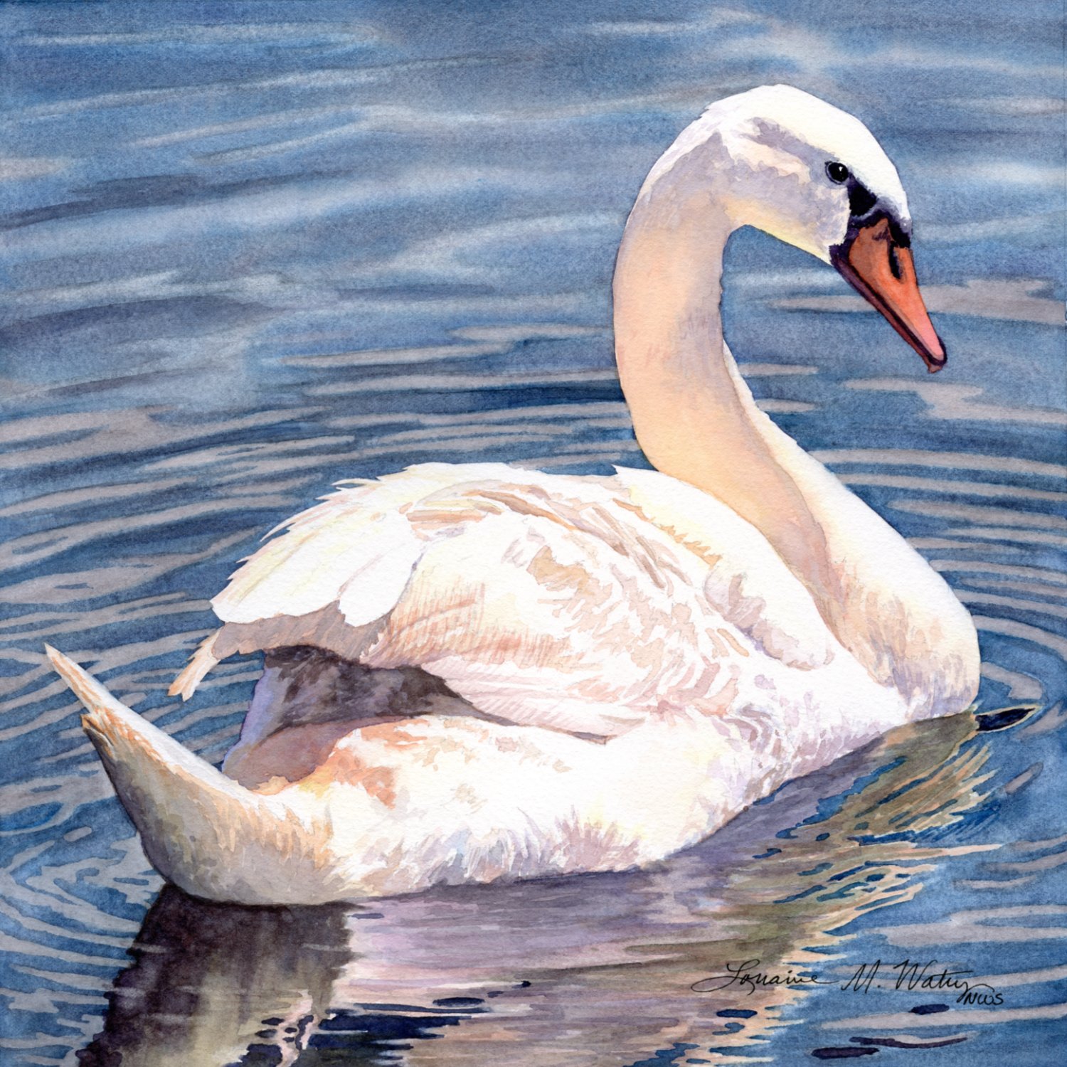 Mute-Swan-watercolor-by-Lorraine-Watry.jpg